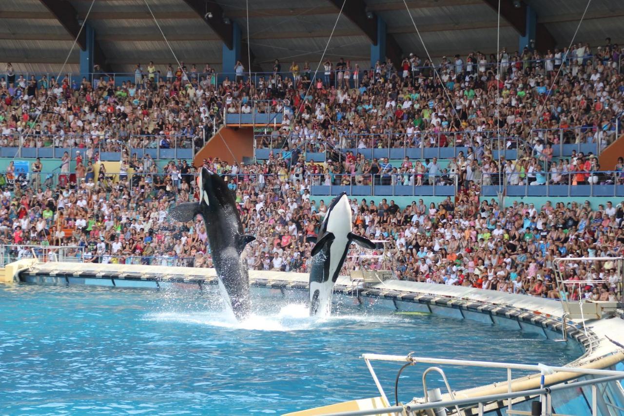 Riviera Azur Antibes à 300m de la mer et du Marineland Exterior foto